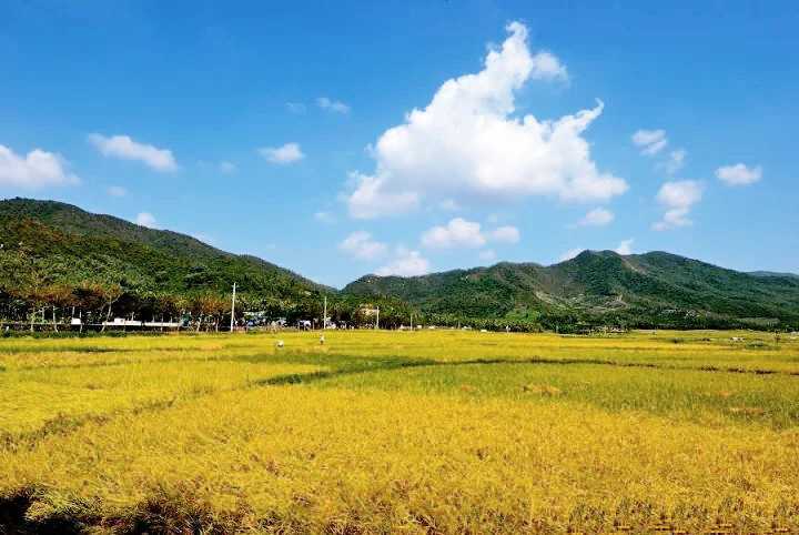 海南三亞天涯區文門村農村生活污水治理工程