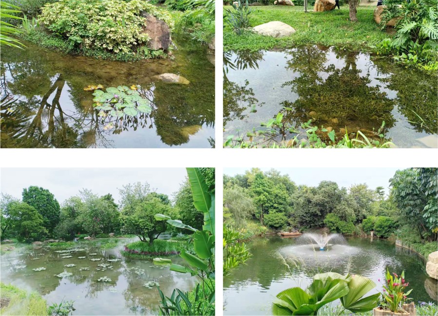 廣州市海珠區蘭溪湖治理效果