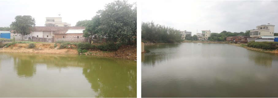 耀潭生活污水生態塘處理前