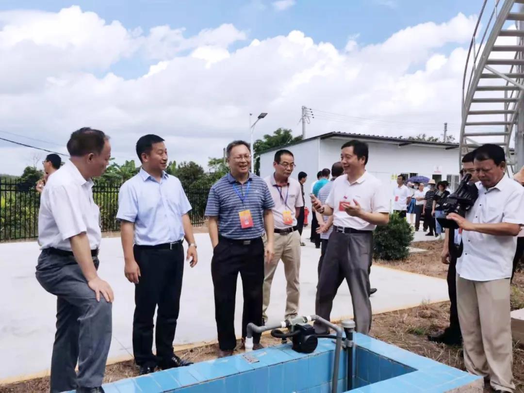 查看馬圩鎮裝配式污水廠出水水質情況