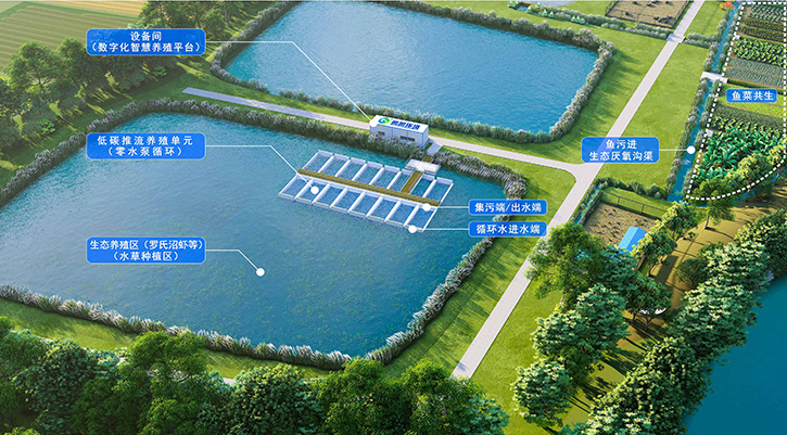 粵港澳大灣區綠色循環養殖示范(南沙)基地